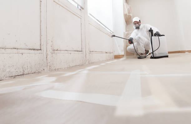 24/7 Emergency Attic Mold Remediation experts in Churchville, PA