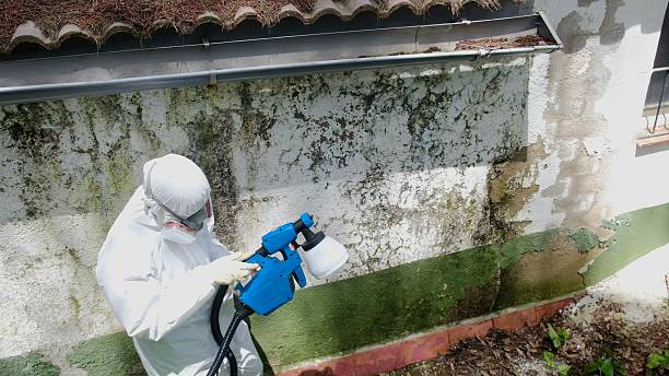 Top rated local Attic Mold Remediation specialists in Churchville, PA